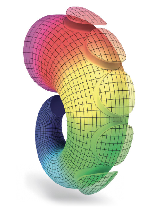Camber digital elephant trunk showcasing the variable curves across the surface of the trunk Camber digital elephant trunk showcasing the variable curves across the surface